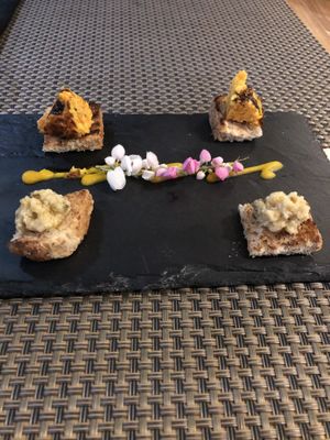 Free app at Luna Rossa in Panglao