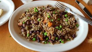 the Jasmine's Favorite plate  at Aladdin's Eatery in Mc Murray