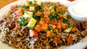 Jasmine's Favorite with Lebanese Salata at Aladdin's Eatery in Mc Murray