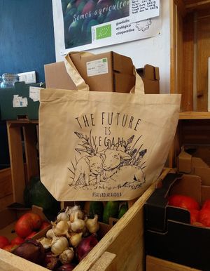 Bolsa solidaria at Vegan Place in Malaga