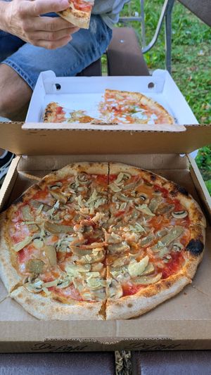 Four cheeses with extra pesto added & the seitan and fungi with the 'parmesan' added at La Sosta in Grugliasco