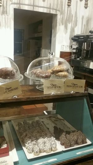 all vegan at Nibble Chocolate - Old Town San Diego State Historic Park in San Diego