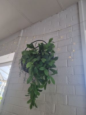 . at Essence Cafe in Stirling