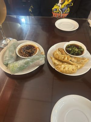 Dumplings and fresh rolls  at Little Saigon in Dayton