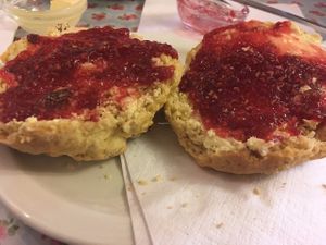 Vegan sultana scone with vegan spread & jam at Goathland Tea Room & Gifts in Whitby