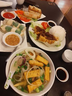 Vegan pho with rice noodles, tofu rice paper rolls, lemongrass tofu and veggie spring rolls at Pho 68 in Lithgow