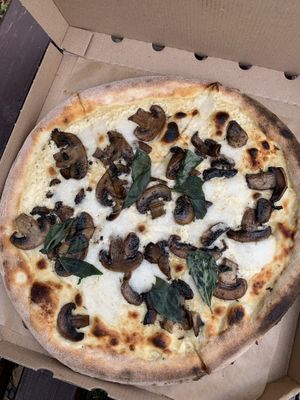 Funghi ❤️❤️❤️ at Chutnej in Vinohrady