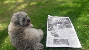 In the newspaper at Sofy Glocal Cuisine in Cuenca