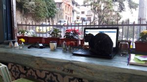 We love her at Sofy Glocal Cuisine in Cuenca