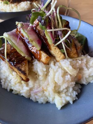 Tofu over jasmine rice in curry broth- delicious   at Roots in Rutland