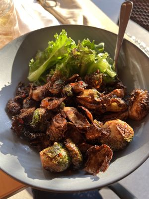 Brussels  at Roots in Rutland