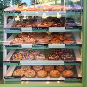 case at Doughnut Time - Manly in Manly