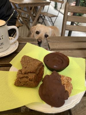   at Bottega Vegana in Modena