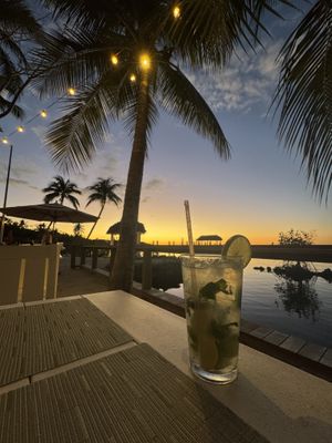   at Marker 88 in Islamorada