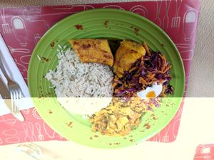 menu of the day, coconut rice, curried soya and seitan, plantains and coleslaw at Natural Spice in Panama City
