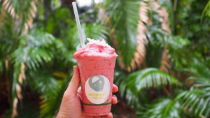 Strawberry supa food smoothie at Coconut Head in Noosa Heads