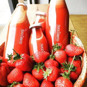  at Succolento in Alba