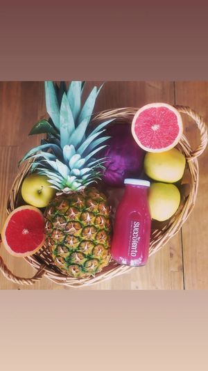  at Succolento in Alba