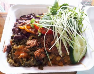 Callaloo, chickpea curry, kidney bean stew, zucchini stew, and BBQ soya served over rice, with salad greens and sprouts on top. at Ital Vital in Toronto