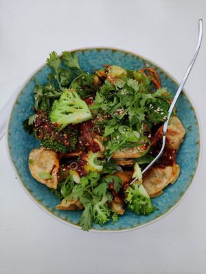 Vegan Gyoza at Burger Box in Tallinn