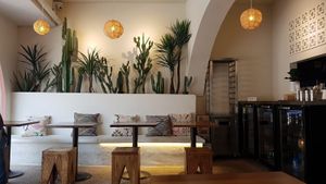 Interior with several plants at Casablanca Sandwicherie - 카사블랑카 샌드위치 in Seoul
