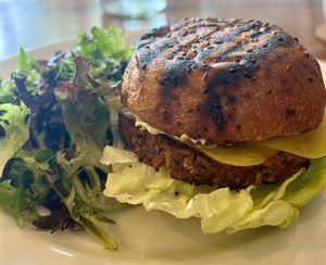 Vegan Homemade Cheese Burger   at Lila in Sarasota