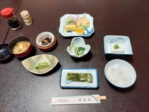 Green tea was included too at Yudanaka Seifuso in Yamanouchi
