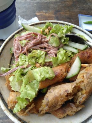 Fried spring rolls and noodles with peanut sauce at Thuc Duong Bao An - Bao An Macrobiotic in Da Nang