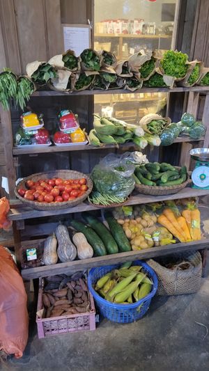  at Thuc Duong Bao An - Bao An Macrobiotic in Da Nang