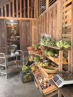   at Thuc Duong Bao An - Bao An Macrobiotic in Da Nang