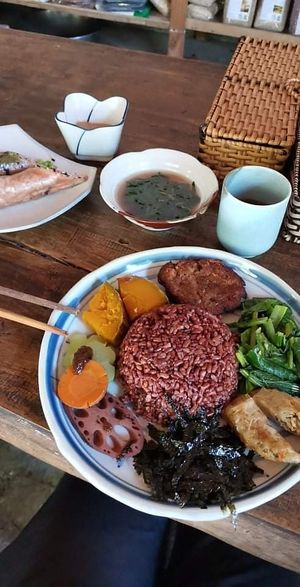 Brown rice plate, 45k. And fresh spring rolls with peanut butter, 20k. at Thuc Duong Bao An - Bao An Macrobiotic in Da Nang