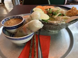 Spring Rolls and Wan Ton Soup   at 1990 Vegan Living in Berlin