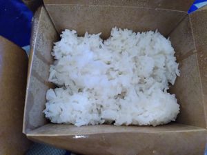 Reis at 1990 Vegan Living in Berlin