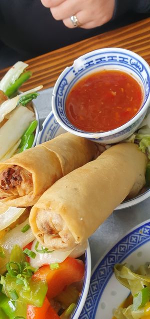 Dragon rolls at 1990 Vegan Living in Berlin