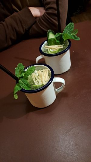 Hanoi mule at 1990 Vegan Living in Berlin