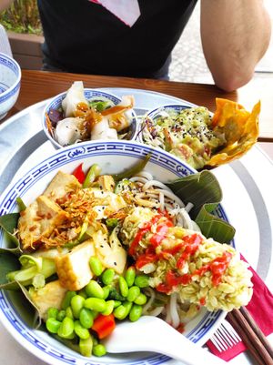 Bowl at 1990 Vegan Living in Berlin