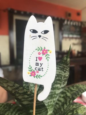 I 💓 my cat 🐈  at By Valeria in Santa Maria