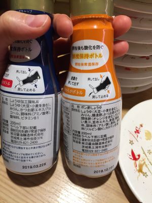 Non-vegan soy sauce! Contains fish. at Katsu Midori in Tokyo