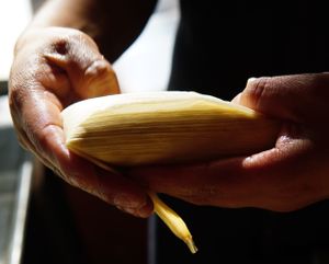 Handmade tamales.  Vegan or vegetarian tamales, always gluten free, available every day. at Mi Mero Mole in Portland