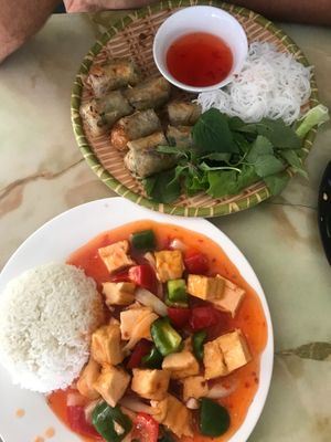 Sweet & sour tofu, and fried veggie spring rolls (not vegan/ had egg) at Yummy Restaurant in Cat Ba