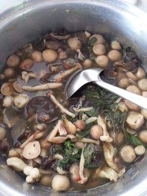 mushrooms curry at Pang Vegetarian in Udon Thani