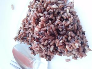 brown rice at Pang Vegetarian in Udon Thani