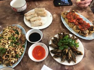 Best food we had in Vietnam. The 2 plates rolls were the ‘small’ serving size! And some are already missing from the top plate when I took this photo at An Lac in Ninh Binh