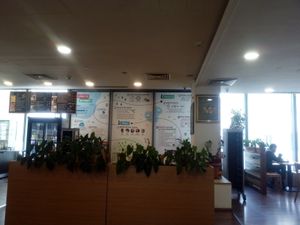 Vegan road-map at Veganland - Karlovo Namesti in Prague