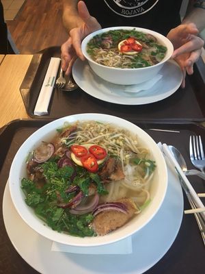 vegan pho at Veganland - Karlovo Namesti in Prague