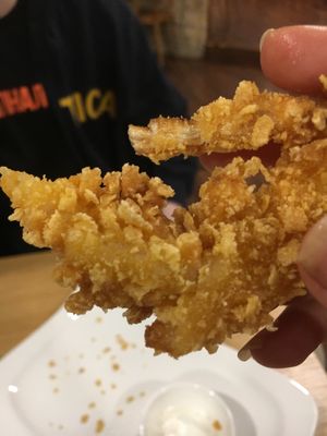 Onion rings  at Veganland - Karlovo Namesti in Prague