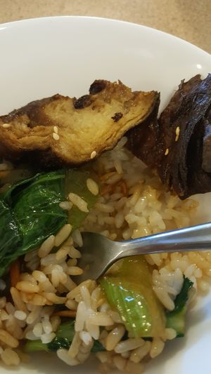 Duck on rice at Veggie on Board in Hawthorn