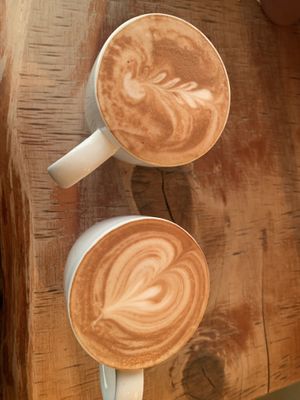 Soy latte   at Sandfly Cafe in Te Anau