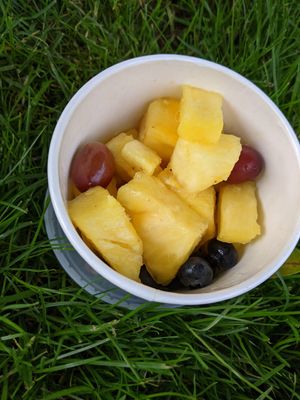 Fruit cup at Even Stevens Sandwiches in Logan