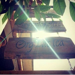 Sunshine in Hoi an  at KOLO in Hoi An